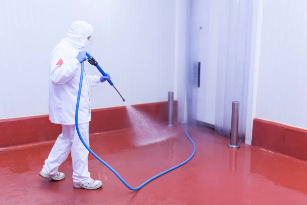 Trusted Roslyn Heights, NY Pressure Washing Services Experts